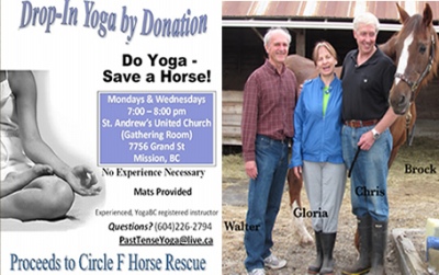 Do Yoga Save a Horse
