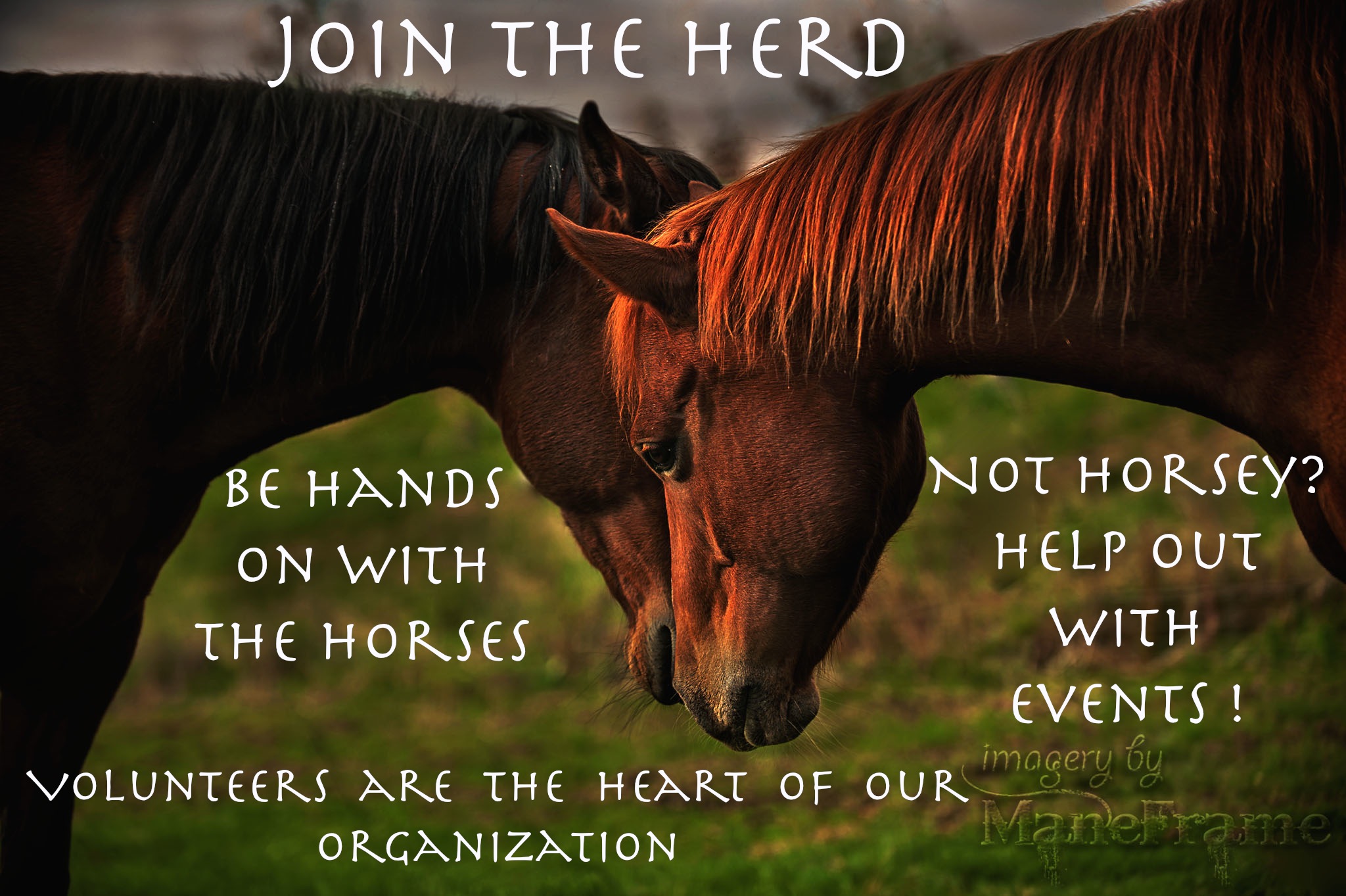 Join the herd