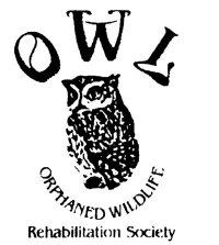 Thank you OWL